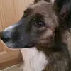Dan_Giles - @dan_giles - TikTok