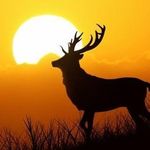 Dan Gilley - @dan.gilley.758 - Instagram