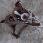 Dan Gillis - @dan.gillis.739 - Instagram