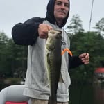 Dan Gillis - @gillbud - Instagram