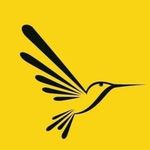 Dan Gilman - @hummingbirdradio - Instagram