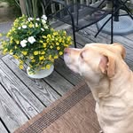 Dan Gilmore - @dangilmore63 - Instagram