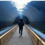 Dan Ginn - @dan_ginn_ - Instagram