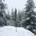 Dan Gipe - @dgipe003 - Instagram