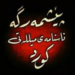 dangi peshmarga - @dangi__peshmarga - Instagram