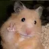 Niyah - @daniyah.gipson - TikTok