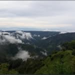 adi - @dangiraldo4403 - Instagram