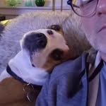 Dan Gist - @seasidedan1 - Instagram