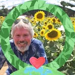 Dan Gitelman - Facebook