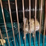 Linda - @dangit_linda - Instagram