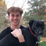 Dan Gittelman - @dangittelman - Instagram