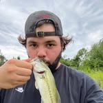 Dan Glad - @dadoglado - Instagram