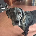 @dan__gleesac_ - Instagram