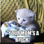 Dan_gleesack - @__meme.central_ - Instagram
