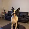Dangleesac - @dangleesac0 - TikTok