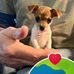 Dan Glynn - Facebook
