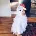 Dan Goble - Facebook