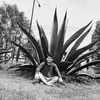 dangodinez819 - @dangodinez819 - TikTok