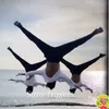 トール - @dangoganba123 - TikTok