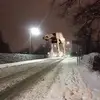 dangoldblattii - @dangoldblattii - TikTok