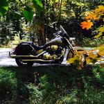 Dan F Goldsmith - @dan.goldsmith.581 - Instagram