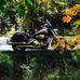 Dan F Goldsmith - Facebook