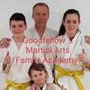 Dan Goodfellow🥊🥊 - @goodfellows_martial_arts - TikTok
