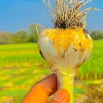 D F Patidar - @dangrecha_farming - Instagram