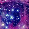 Dan Grech - @xo.pug.xo2 - TikTok