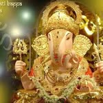 Dangrecha Amitbhai D - @dangrechaamitbhaid - Instagram