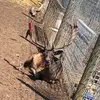Dante_grech - @dante_grech1 - TikTok
