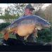 Dan Greenwood - Facebook