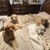 Dan Greenwood - Facebook