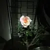 Aprilshowers1224 - @danegress1 - TikTok