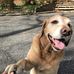 Dan Gresser - Facebook
