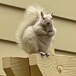 Dan Gunderson - @ragnahr55 - Instagram