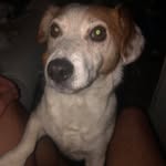 Dan Guthrie - @dang11417 - Instagram