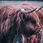 @daniel_haddock_photography - Instagram