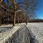Dan Hagan - @dan.hagan.940 - Instagram