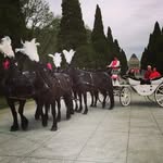 Daniel Hagan - @danhagan30 - Instagram