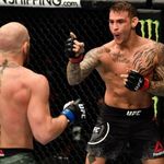 Dan hager - @mma_champ_champ - Instagram