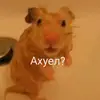 DangerLyohaGEY - @dangerlyohagey - TikTok