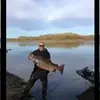 dannyhagey - @dannyhagey - TikTok