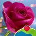 Dan Hakimdan - Facebook