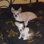 Dan Hallberg - @dan.hallberg.5 - Instagram