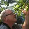 Dan Hallin - @dan.hallin - TikTok