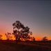 Daniel Halsey - Facebook