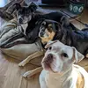 Dan Hammack - @dan.hammack - TikTok