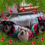 Dan Hammack - @dan.hammack - Instagram