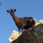 Dan Hammer - @danhammergram - Instagram